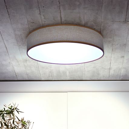 Brilagi - Lámpara de techo LED regulable CARMEN LED/48W/230V 3000-6500K Ø 40 cm + mando a distancia