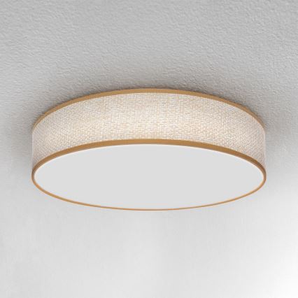 Brilagi - Lámpara de techo LED regulable CARMEN LED/48W/230V 3000-6500K Ø 40 cm + mando a distancia