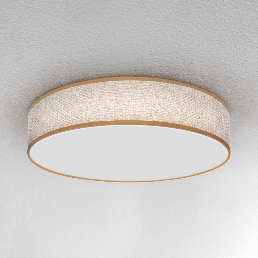 Brilagi - Lámpara de techo LED regulable CARMEN LED/48W/230V 3000-6500K Ø 40 cm + mando a distancia