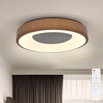 Brilagi - Lámpara de techo LED regulable DORIA LED/48W/230V 3000-6500K Ø 39 cm + mando a distancia