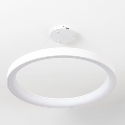 Brilagi - Lámpara colgante LED regulable con cable FALCON II LED/108W/230V 3000-6500K Ø 80 cm blanca + mando a distancia