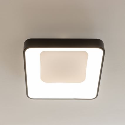 Brilagi - Luminaria de techo LED regulable FALCON II LED/80W/230V 3000-6500K 40x40 cm negra + mando a distancia