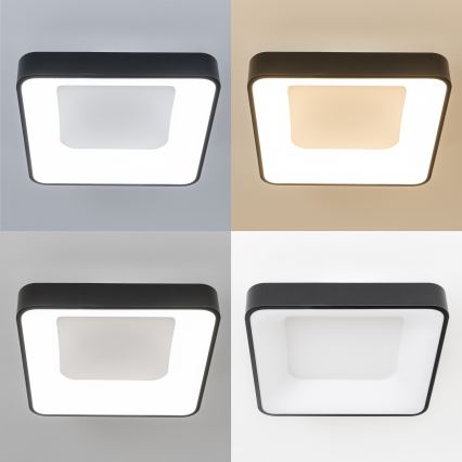 Brilagi - Luminaria de techo LED regulable FALCON II LED/80W/230V 3000-6500K 40x40 cm negra + mando a distancia