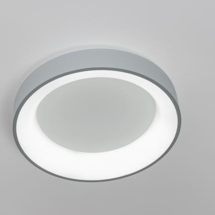 Brilagi - Lámpara de techo LED regulable FALCON LED/80W/230V 3000-6500K diámetro 60 cm gris + mando a distancia