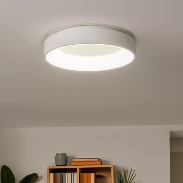 Brilagi - Lámpara de techo LED regulable FALCON LED/80W/230V 3000-6500K Ø 60 cm blanca + mando a distancia