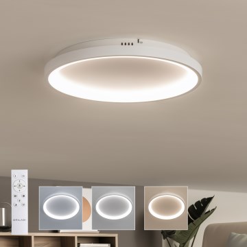 Brilagi - Lámpara de techo LED regulable FALCON SLIM LED/42W/230V 3000–6500 K Ø 50 cm blanca + control remoto