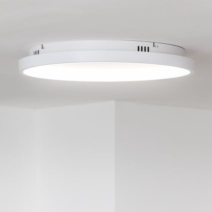 Brilagi - Lámpara de techo LED regulable FALCON SLIM LED/42W/230V 3000–6500 K Ø 50 cm blanca + control remoto