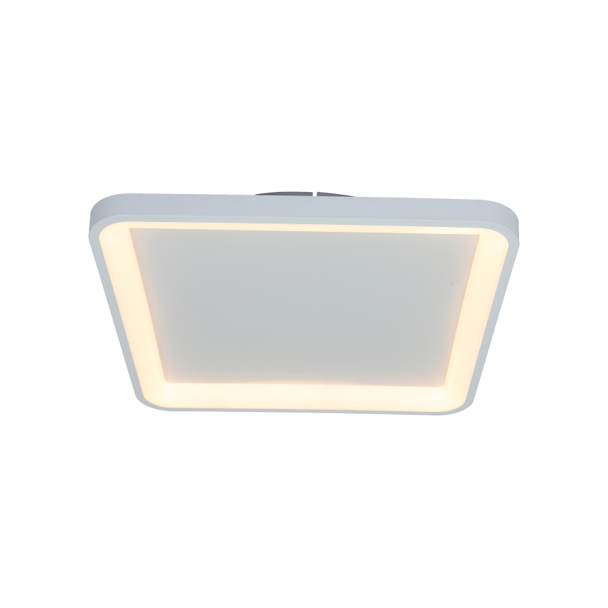 Brilagi - Luminaria de techo LED regulable FALCON SLIM LED/50W/230V 3000-6500K 50x50 cm blanco + mando a distancia