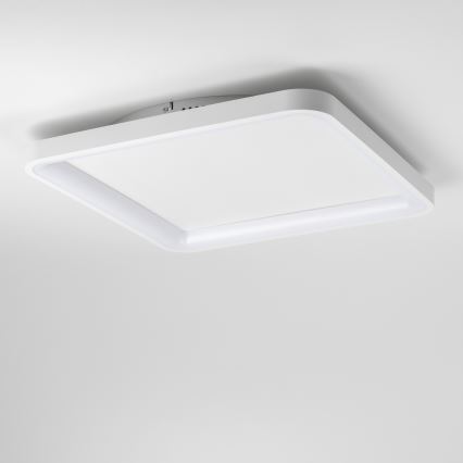 Brilagi - Luminaria de techo LED regulable FALCON SLIM LED/50W/230V 3000-6500K 50x50 cm blanco + mando a distancia
