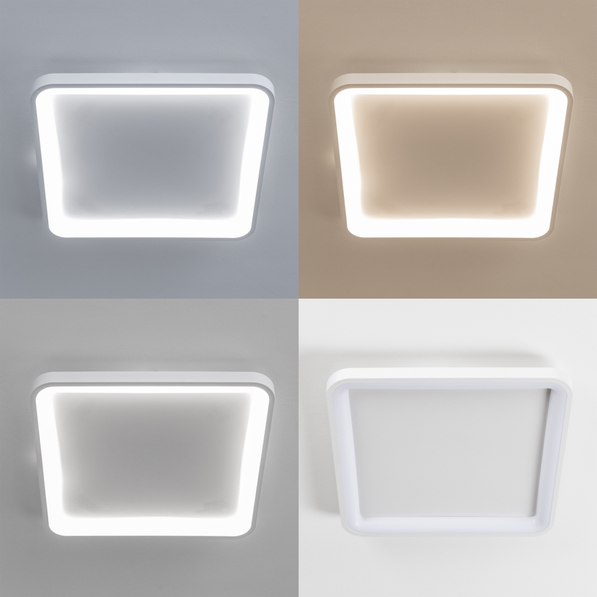 Brilagi - Luminaria de techo LED regulable FALCON SLIM LED/50W/230V 3000-6500K 50x50 cm blanco + mando a distancia