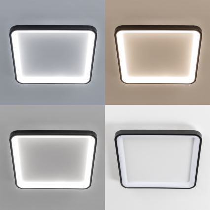 Brilagi - Luminaria de techo LED regulable FALCON SLIM LED/50W/230V 3000-6500K 50x50 cm negra + mando a distancia