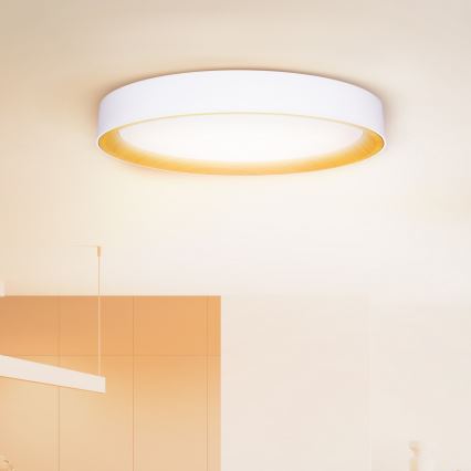 Brilagi - Lámpara de techo LED regulable LARIOS LED/72W/230V blanca Ø 59 cm + mando a distancia