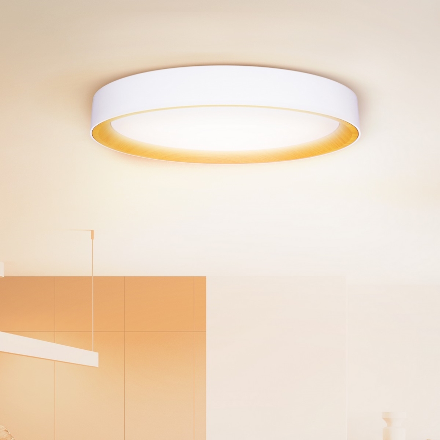 Brilagi - Lámpara de techo LED regulable LARIOS LED/72W/230V blanca Ø 59 cm + mando a distancia