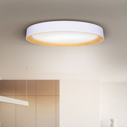 Brilagi - Lámpara de techo LED regulable LARIOS LED/72W/230V blanca Ø 59 cm + mando a distancia