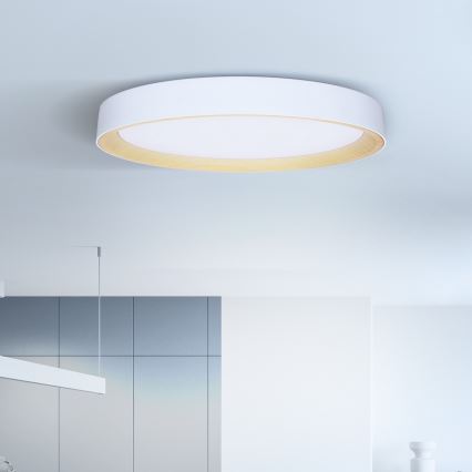 Brilagi - Lámpara de techo LED regulable LARIOS LED/72W/230V blanca Ø 59 cm + mando a distancia