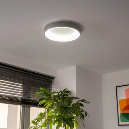 Brilagi - Luminaria de techo LED regulable FALCON LED/40W/230V 3000-6500K diámetro 45 cm gris + mando a distancia