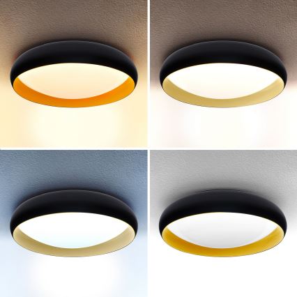 Brilagi - Lámpara de techo LED regulable LIVIA LED/48W/230V 3000-6500K Ø 42 cm + mando a distancia