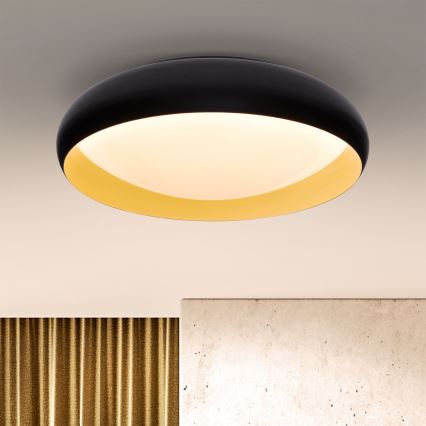 Brilagi - Lámpara de techo LED regulable LIVIA LED/48W/230V 3000-6500K Ø 42 cm + mando a distancia