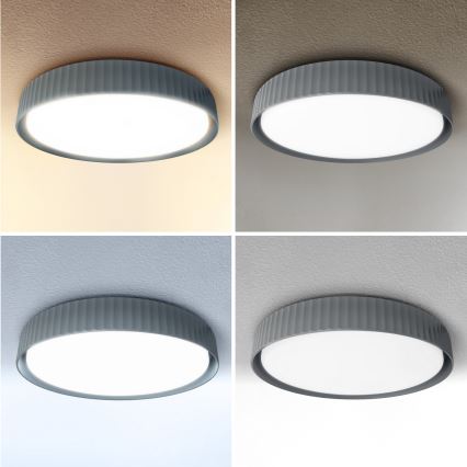 Brilagi - Luminaria de techo LED regulable LUCIA LED 60 W / 230 V / 3000–6500 K diámetro 59 cm gris + mando a distancia