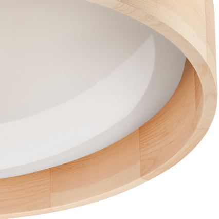 Brilagi - Lámpara de techo LED regulable MANAROLA LED/24W/230V 3000-6500K + mando a distancia