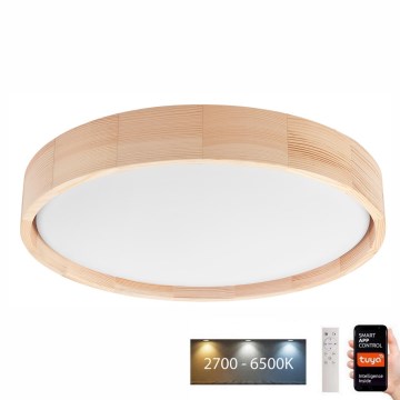Brilagi - Lámpara de techo LED regulable MANAROLA SMART LED/24W/230V 2700-6500K Ø 41 cm Wi-Fi + mando a distancia Tuya