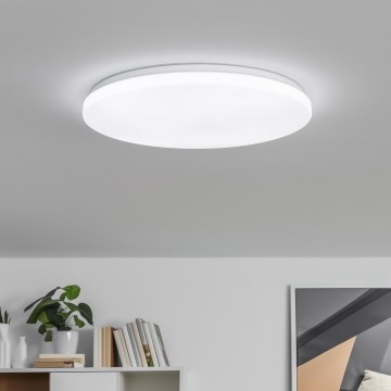 Brilagi - Lámpara de techo LED regulable PINE LED/24W/230V diámetro 42 cm 3000-6500K + mando a distancia