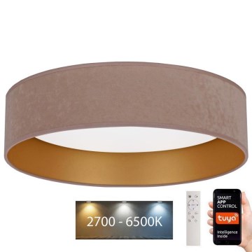 Brilagi - Lámpara de techo LED regulable VELVET SMART LED/36W/230V Ø 55 cm 2700-6500K Wi-Fi Tuya beige/dorado + mando a distancia