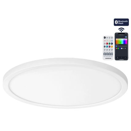 Brilagi - Plafón LED RGBW regulable VIBE LED/24W/230V 3000-6500K Ø 26 cm blanco + mando a distancia