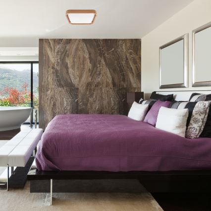 Brilagi - Lámpara de techo LED regulable MANAROLA CUBIC LED/24W/230V 3000-6500K roble + mando a distancia