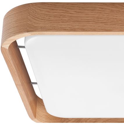 Brilagi - Lámpara de techo LED regulable MANAROLA CUBIC LED/24W/230V 3000-6500K roble + mando a distancia
