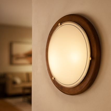 Brilagi - Lámpara de techo ORBIS 1xE27/60W/230V, Ø 30 cm, pino