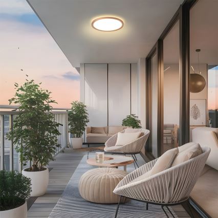 Brilagi - Plafón LED de techo para baño ULTRA SLIM LED/12W/230V Ø22,5 cm oro rosa IP54