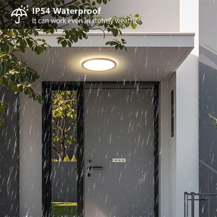 Brilagi - Lámpara de techo LED para baño ULTRA SLIM 18W/230V, Ø 30 cm, oro rosa, IP54