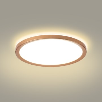 Brilagi - Lámpara de techo para baño ULTRA SLIM LED/24W/230V Ø 42 cm oro rosa IP54
