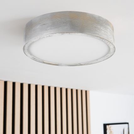 Brilagi - Lámpara de techo PINO 1xE27/15W/230V de pino/plateado Ø 27,5 cm