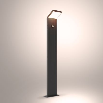 Brilagi - Lámpara LED exterior con sensor RIANO LED/8W/230V antracita IP65