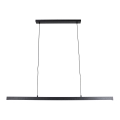 Brilagi - Lámpara LED colgante con cable AXIS LED/30W/230V 120 cm negra