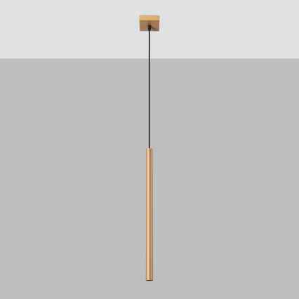 Brilagi - Lámpara LED colgante DRIFA 1xG9/4W/230V dorado