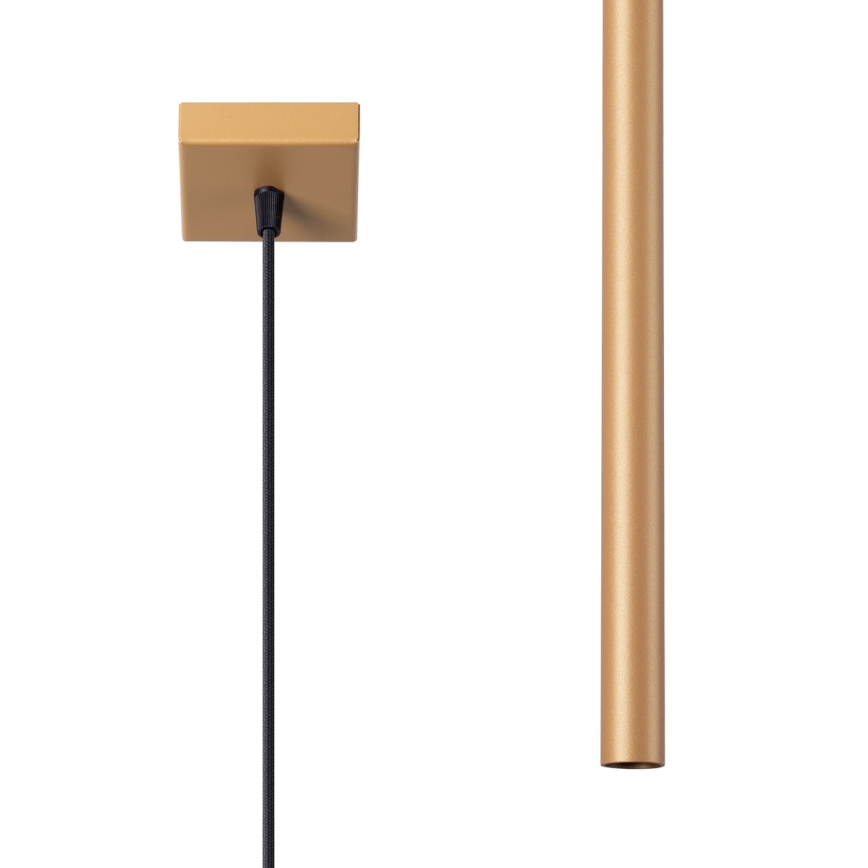 Brilagi - Lámpara LED colgante DRIFA 1xG9/4W/230V dorado