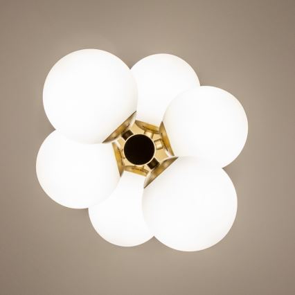 Brilagi - Lámpara LED colgante MILLA 6xG9/3W/230V dorado/blanco