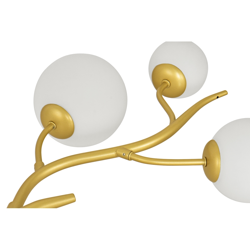 Brilagi - Lámpara LED colgante MISTEL 6xG9/3W/230V dorado/blanco