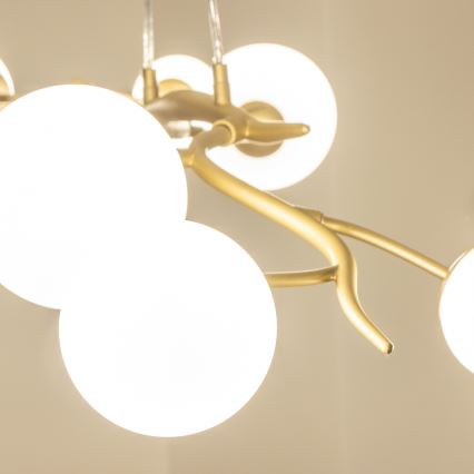 Brilagi - Lámpara LED colgante MISTEL 6xG9/3W/230V dorado/blanco