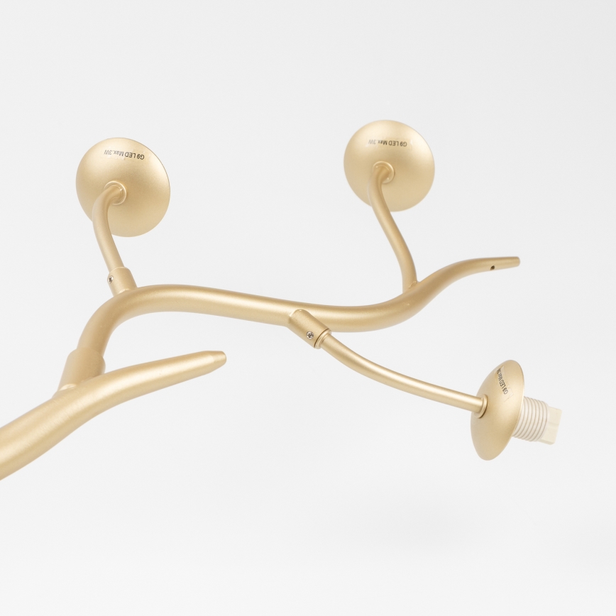 Brilagi - Lámpara LED colgante MISTEL 6xG9/3W/230V dorado