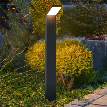 Brilagi - Lámpara LED de exterior RIANO LED/8W/230V antracita IP65