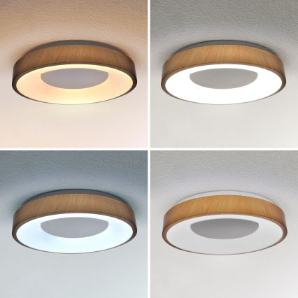 Brilagi - Lámpara de techo LED regulable DORIA LED/48W/230V 3000-6500K Ø 39 cm + mando a distancia