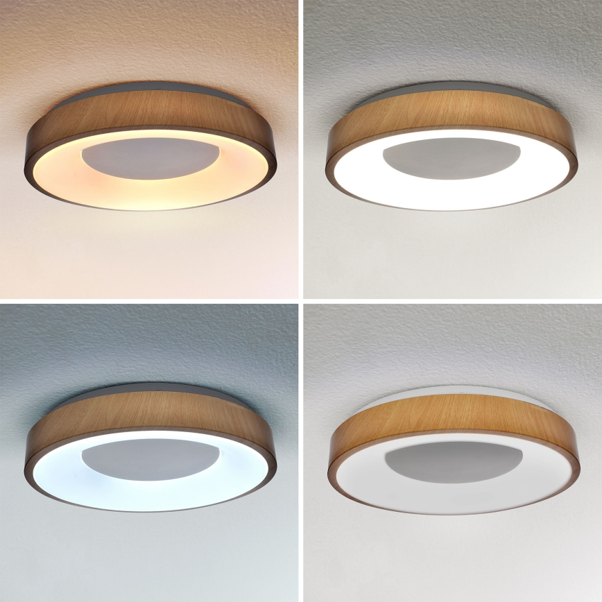 Brilagi - Lámpara de techo LED regulable DORIA LED/48W/230V 3000-6500K Ø 39 cm + mando a distancia