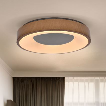 Brilagi - Lámpara de techo LED regulable DORIA LED/48W/230V 3000-6500K Ø 39 cm + mando a distancia