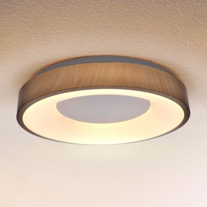 Brilagi - Lámpara de techo LED regulable DORIA LED/48W/230V 3000-6500K Ø 39 cm + mando a distancia