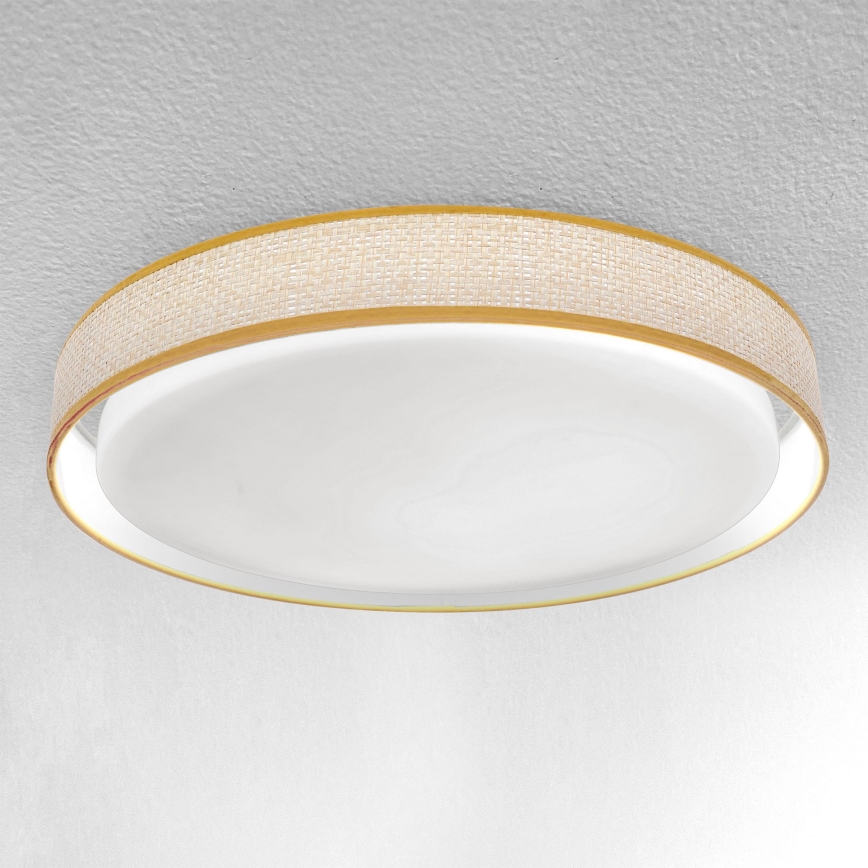 Brilagi - Lámpara de techo LED regulable KIANIA LED/48W/230V 3000-6500K Ø 43 cm + mando a distancia
