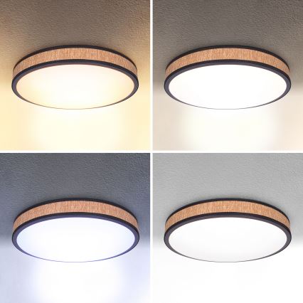 Brilagi - Lámpara de techo LED regulable ROSA LED/48W/230V 3000-6500K Ø 38 cm + mando a distancia